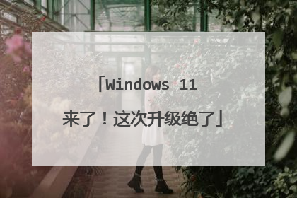 Windows 11 来了!这次升级绝了