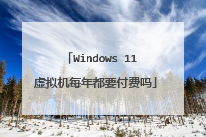 Windows 11虚拟机每年都要付费吗