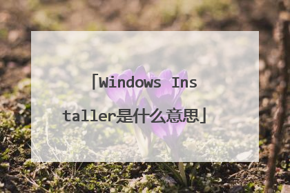 Windows Installer是什么意思