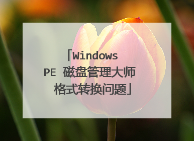 Windows PE 磁盘管理大师 格式转换问题