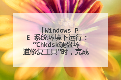 Windows PE 系统环境下运行：“Chkdsk硬盘坏道修复工具”时，完成后提示：无法将记录