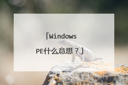 Windows PE什么意思?