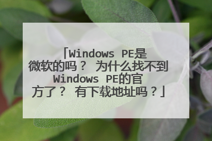 Windows PE是微软的吗? 为什么找不到Windows PE的官方了? 有下载地址吗?