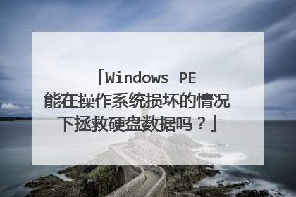 Windows PE能在操作系统损坏的情况下拯救硬盘数据吗？