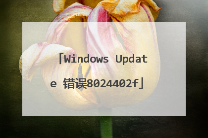 Windows Update 错误8024402f