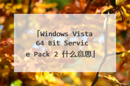 Windows Vista 64 Bit Service Pack 2 什么意思