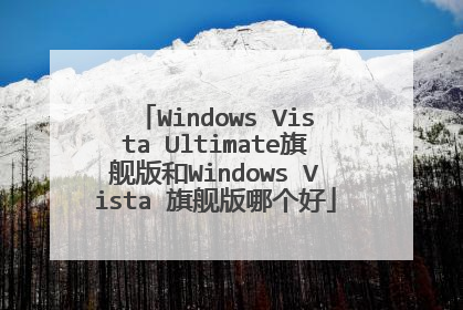 Windows Vista Ultimate旗舰版和Windows Vista 旗舰版哪个好