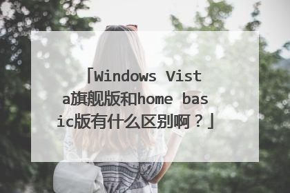 Windows Vista旗舰版和home basic版有什么区别啊?