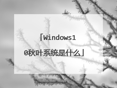 Windows10秋叶系统是什么