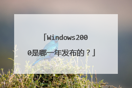 Windows2000是哪一年发布的?