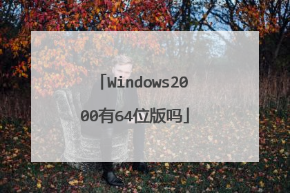 Windows2000有64位版吗