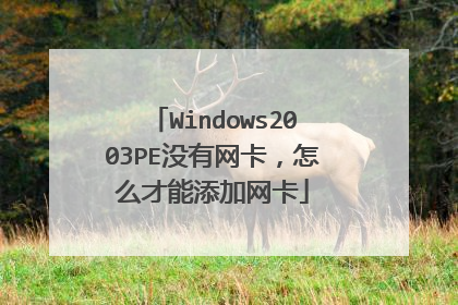 Windows2003PE没有网卡，怎么才能添加网卡