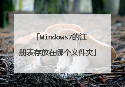 Windows7的注册表存放在哪个文件夹