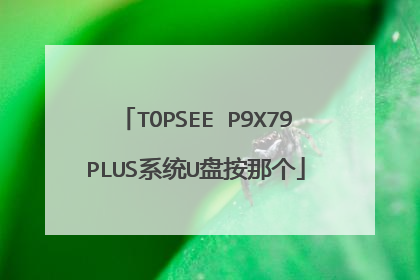 TOPSEE P9X79PLUS系统U盘按那个