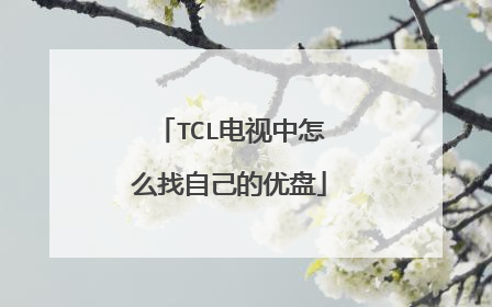 TCL电视中怎么找自己的优盘