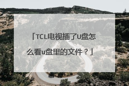 TCL电视插了U盘怎么看u盘里的文件?