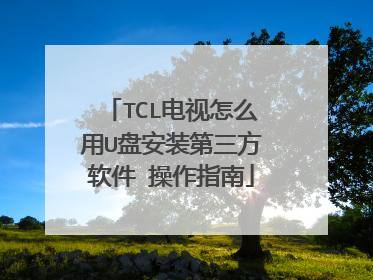 TCL电视怎么用U盘安装第三方软件 操作指南