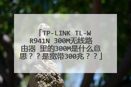 TP-LINK TL-WR941N 300M无线路由器 里的300M是什么意思??是宽带300兆??