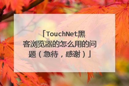 TouchNet黑客浏览器的怎么用的问题(急待,感谢)