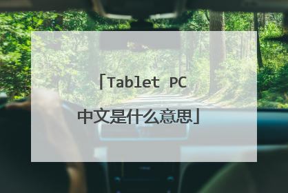 Tablet PC 中文是什么意思