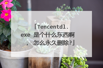 Tencentdl.exe 是个什么东西啊 , 怎么永久删除?