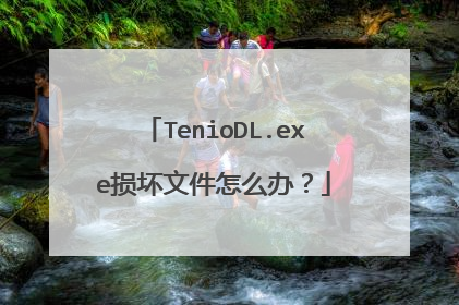 TenioDL.exe损坏文件怎么办?