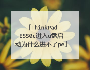 ThinkPad E550c进入u盘启动为什么进不了pe