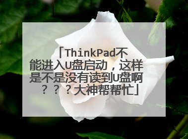 ThinkPad不能进入U盘启动，这样是不是没有读到U盘啊？？？大神帮帮忙