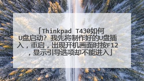 Thinkpad T430如何U盘启动? 我先将制作好的U盘插入，重启，出现开机画面时按F12，显示引导选项却不能进入