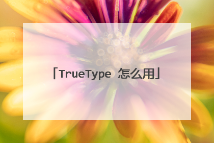 TrueType 怎么用