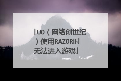 UO(网络创世纪)使用RAZOR时无法进入游戏