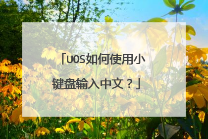 UOS如何使用小键盘输入中文?