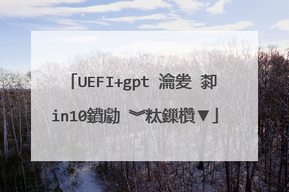 UEFI+gpt 瀹夎�厀in10鐨勮�︾粏鏁欑▼