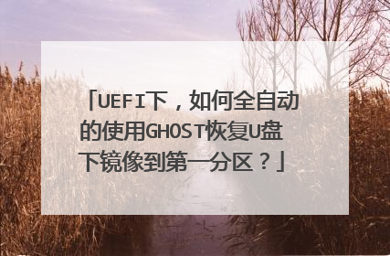 UEFI下，如何全自动的使用GHOST恢复U盘下镜像到第一分区？