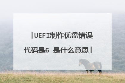 UEFI制作优盘错误代码是6 是什么意思