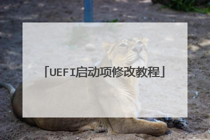 UEFI启动项修改教程