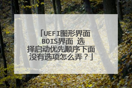 UEFI图形界面 BOIS界面 选择启动优先顺序下面没有选项怎么弄?