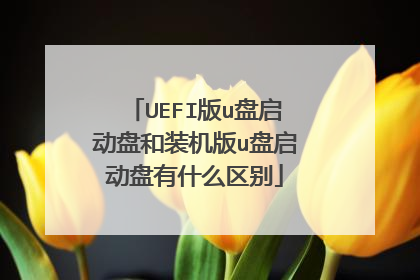 UEFI版u盘启动盘和装机版u盘启动盘有什么区别