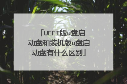 UEFI版u盘启动盘和装机版u盘启动盘有什么区别