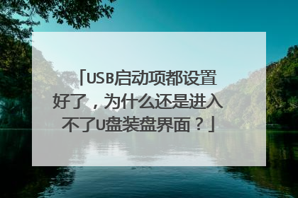 USB启动项都设置好了,为什么还是进入不了U盘装盘界面?