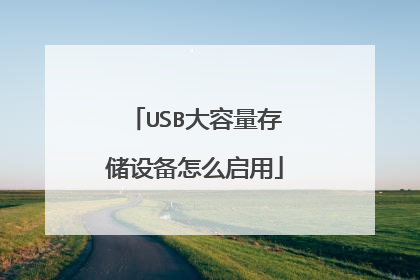 USB大容量存储设备怎么启用