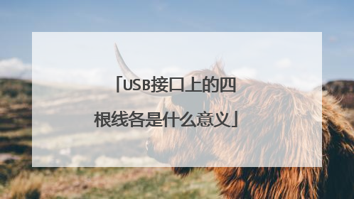 USB接口上的四根线各是什么意义