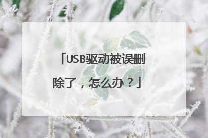 USB驱动被误删除了,怎么办?