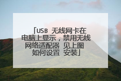 USB 无线网卡在电脑上显示,禁用无线网络适配器 见上图 如何设置 安装