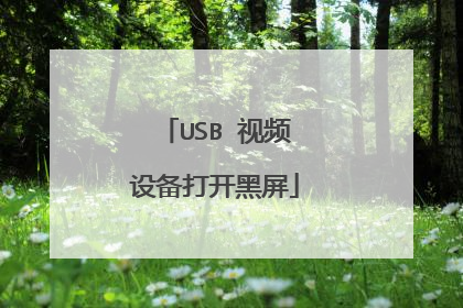 USB 视频设备打开黑屏