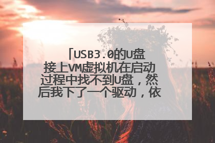 USB3.0的U盘接上VM虚拟机在启动过程中找不到U盘,然后我下了一个驱动,依然找不到U盘