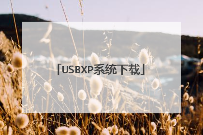 USBXP系统下载