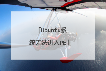 Ubuntu系统无法进入PE