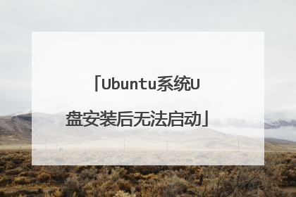 Ubuntu系统U盘安装后无法启动