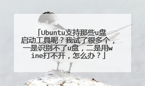 Ubuntu支持那些u盘启动工具呢?我试了很多个,一是识别不了u盘,二是用wine打不开,怎么办?